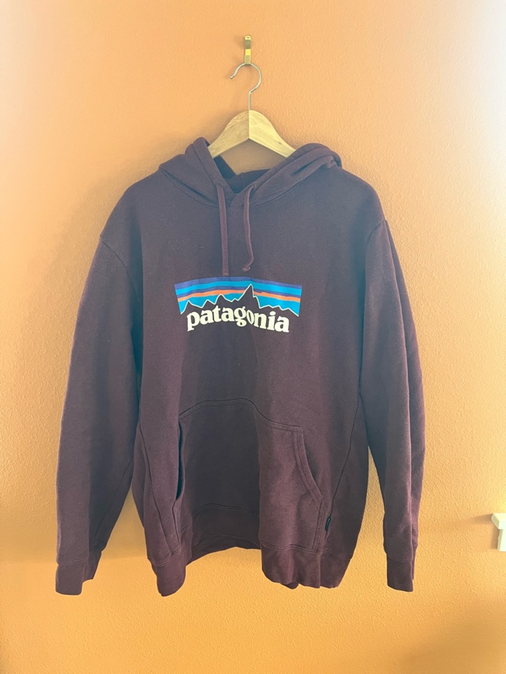 Patagonia Men’s Burgundy Hoodie with Multicolor Logo